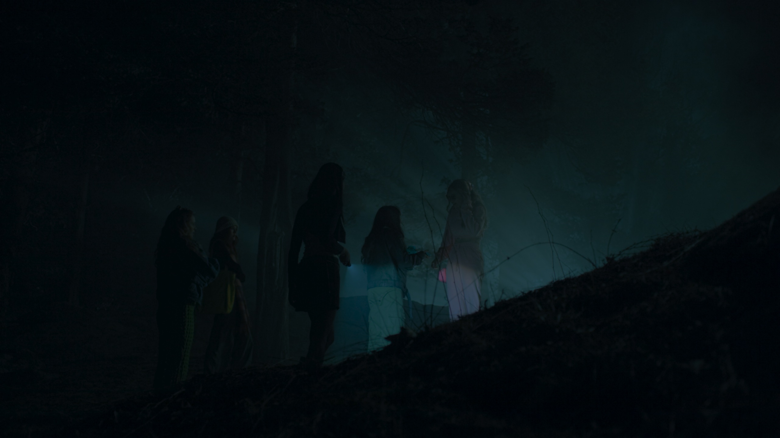 Silhouetted figures on foggy hillside at night